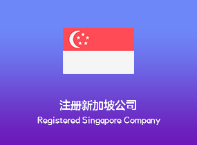 注册新加坡公司
